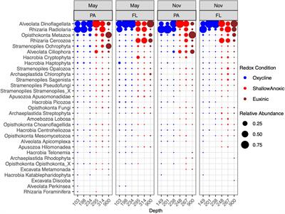 Eukaryotic Parasites Are Integral to a Productive Microbial Food Web in Oxygen-Depleted Waters